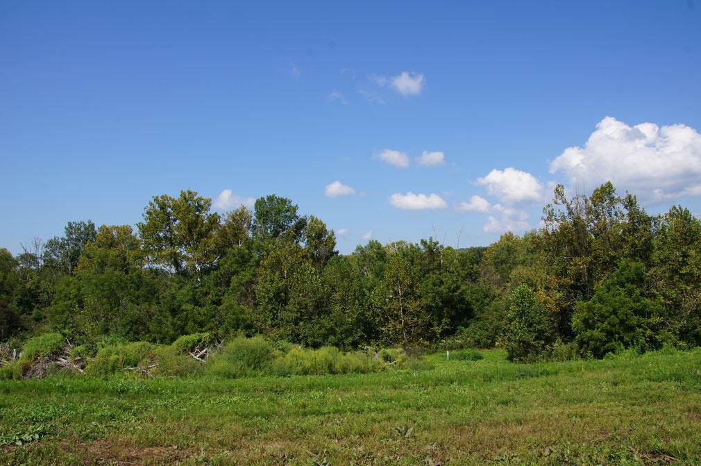 108 Forest Creek Pkwy - Photo 1