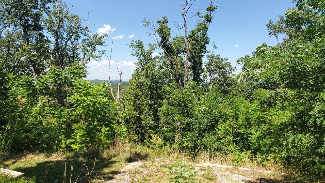 Lots12&13 Laurelwood Dr Drive - Photo 1