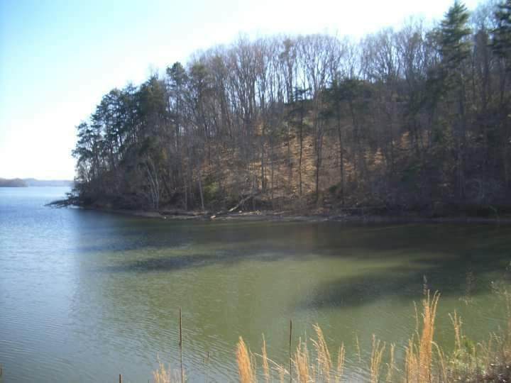 Lot 113 Thief Neck Drive - Photo 1