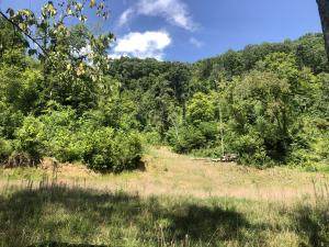 Big Branch Rd - Photo 1