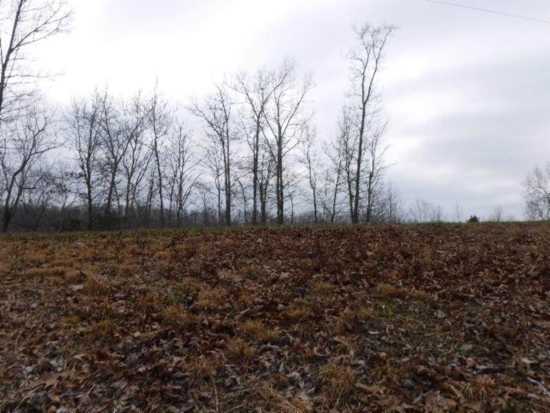 Lot 16 Western Way - Photo 1