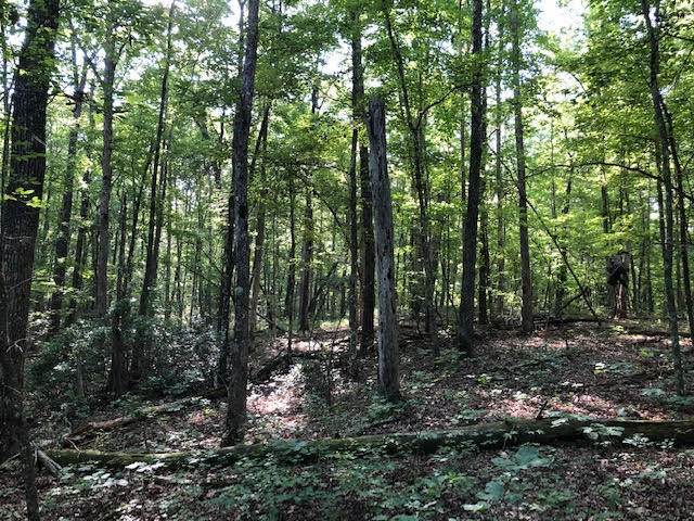 Overlook Rd - Photo 1