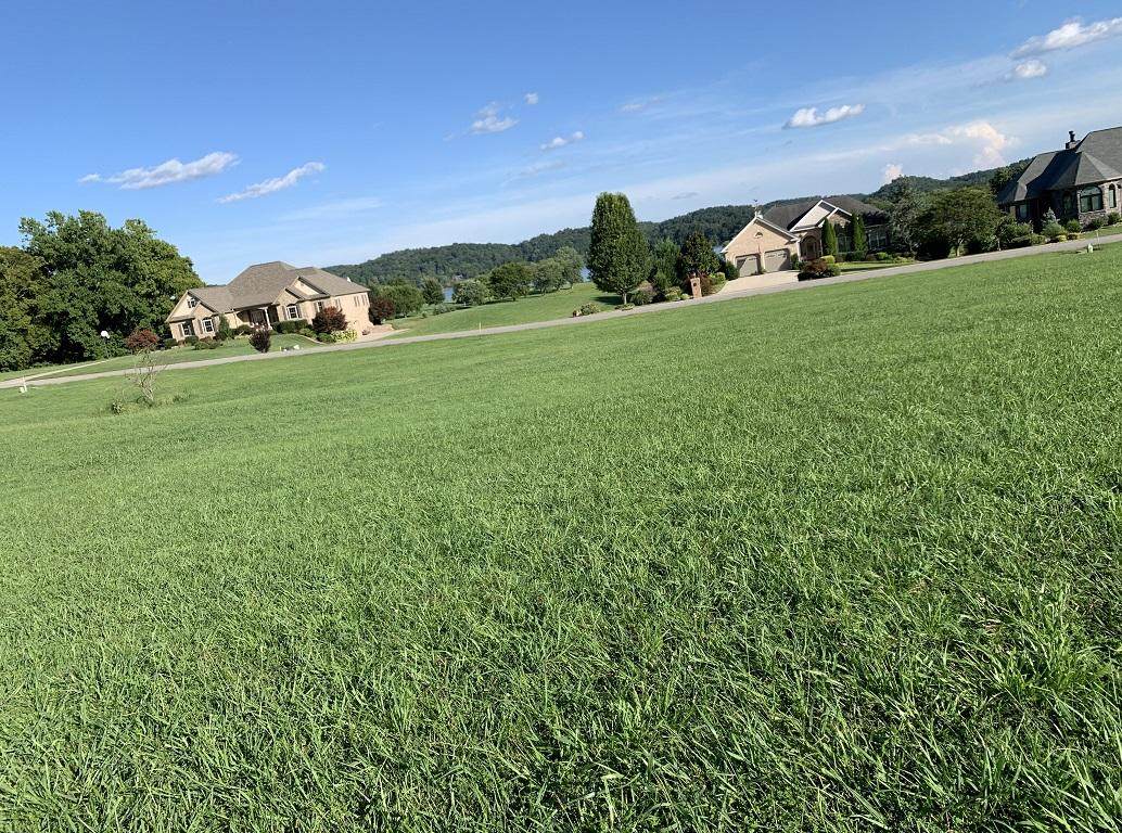 4041 Paradise Drive - Photo 1