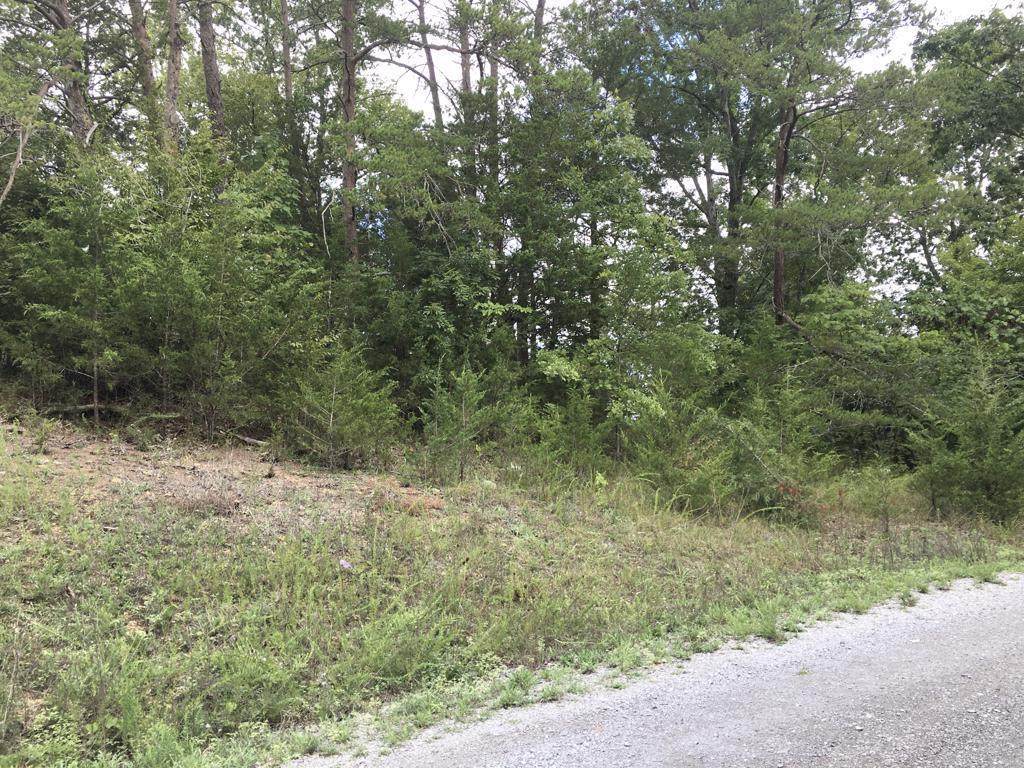 Lot 21 Sage Court - Photo 1