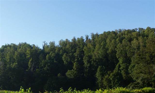 Mullins School Rd - Photo 1