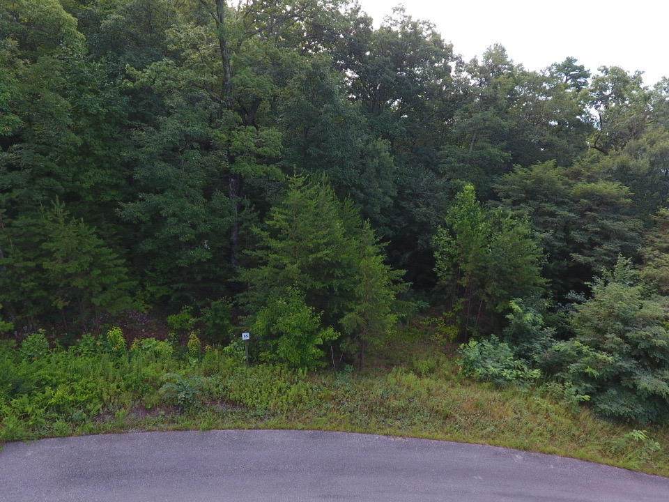 Lot #55 Mountain Ash Way - Photo 1