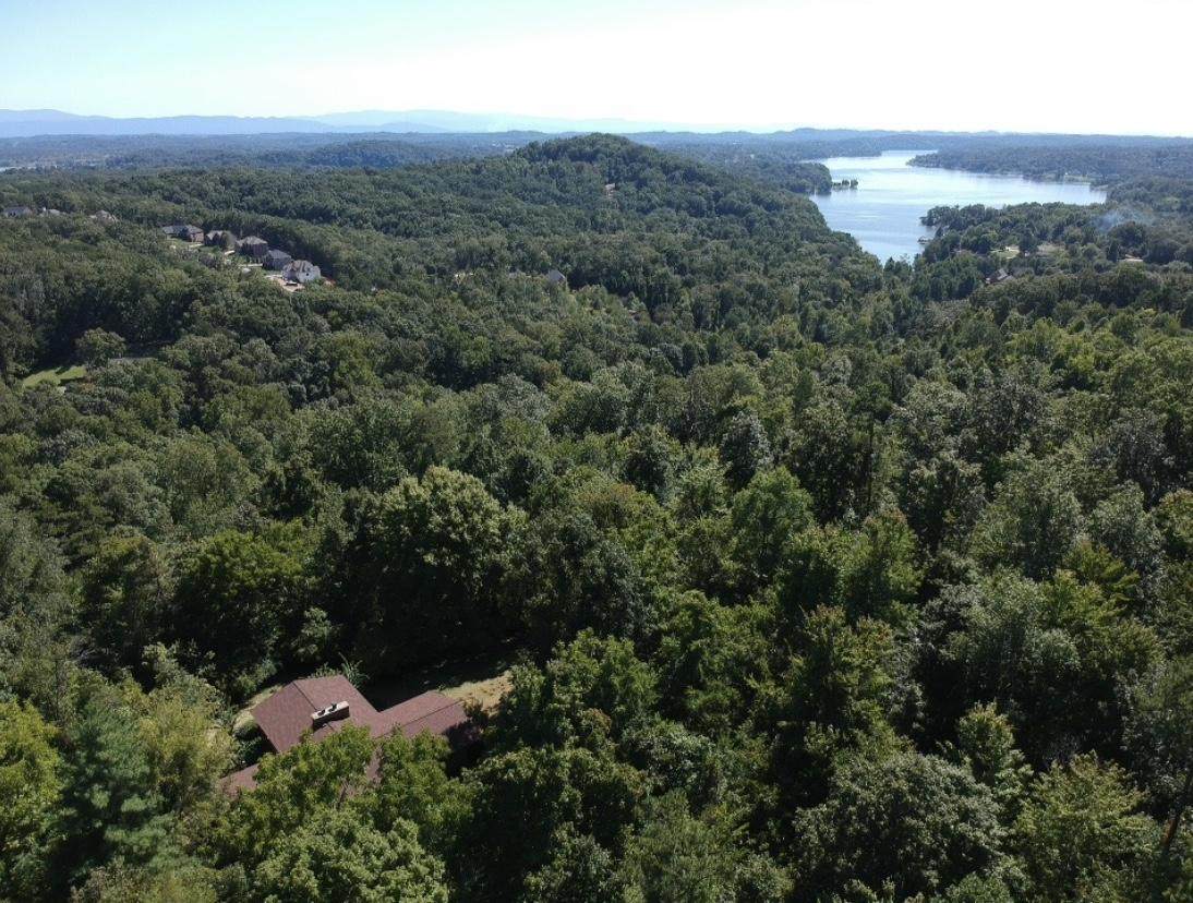 12515 Early Rd - Photo 1