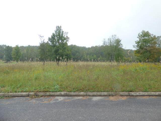 Lot 2,5,17 Royal Crest And Stump Hollow - Photo 1