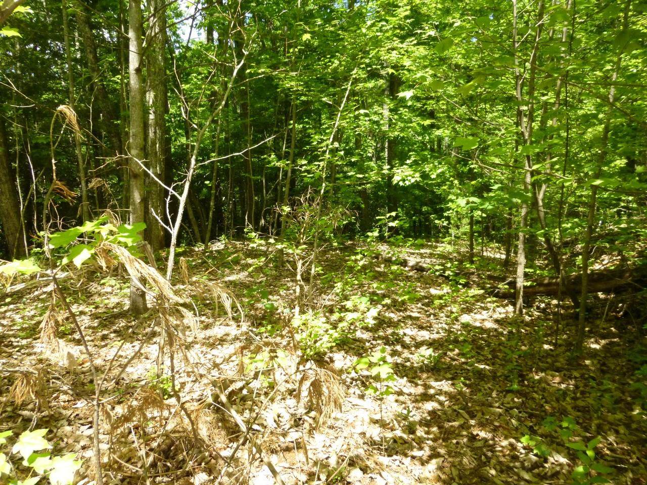Lot 13 Sonshine Ridge Rd - Photo 1