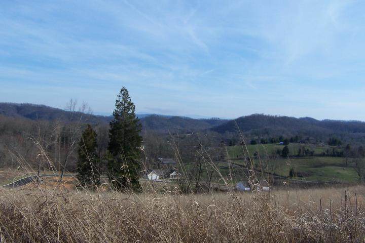Glen - Lot 18 Rd - Photo 1