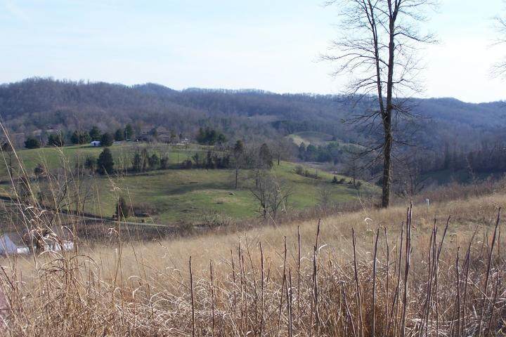 Glen - Lot 49 Rd - Photo 1