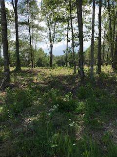 Ett Brown Rd - Photo 1