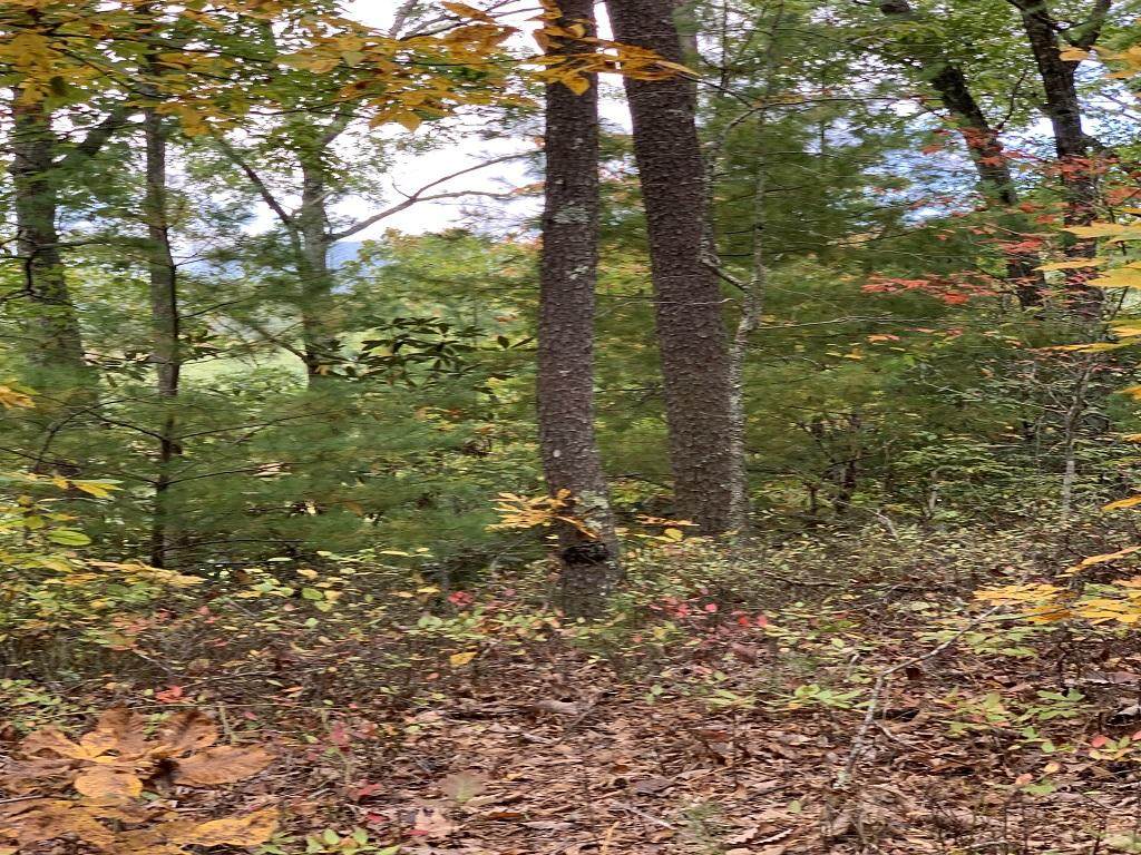 1158 Parton Woodcraft Rd - Photo 1