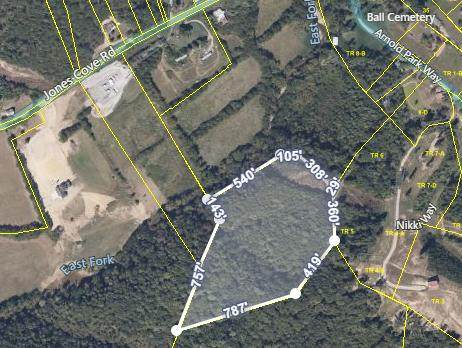 17.3 Acres Jones Cove Rd - Photo 1