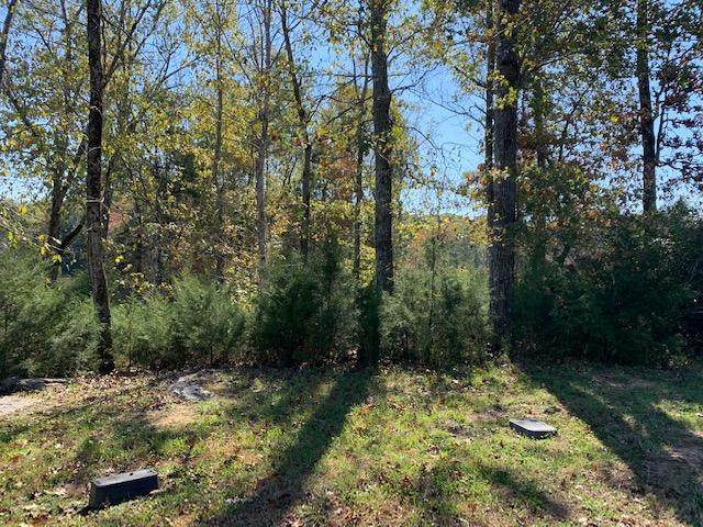 Shore Lot 21 Drive - Photo 1