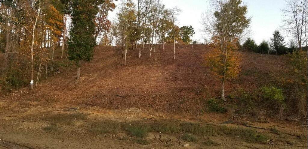 Lot 49 Rocky Point Way Way - Photo 1