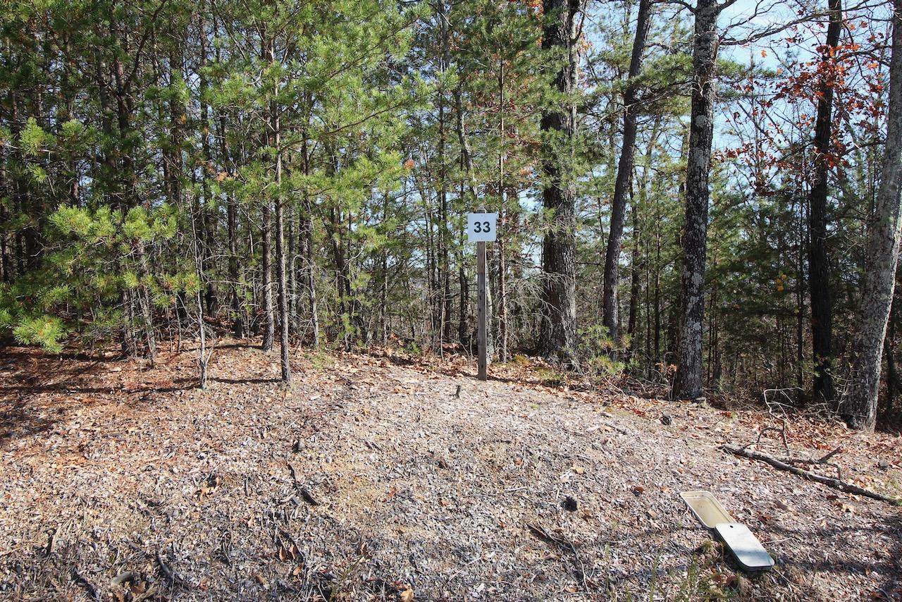 Lot 33 Mountain Ash Way - Photo 1