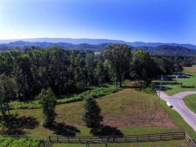 2021 Little Best (4.14 Acres) Rd - Photo 1