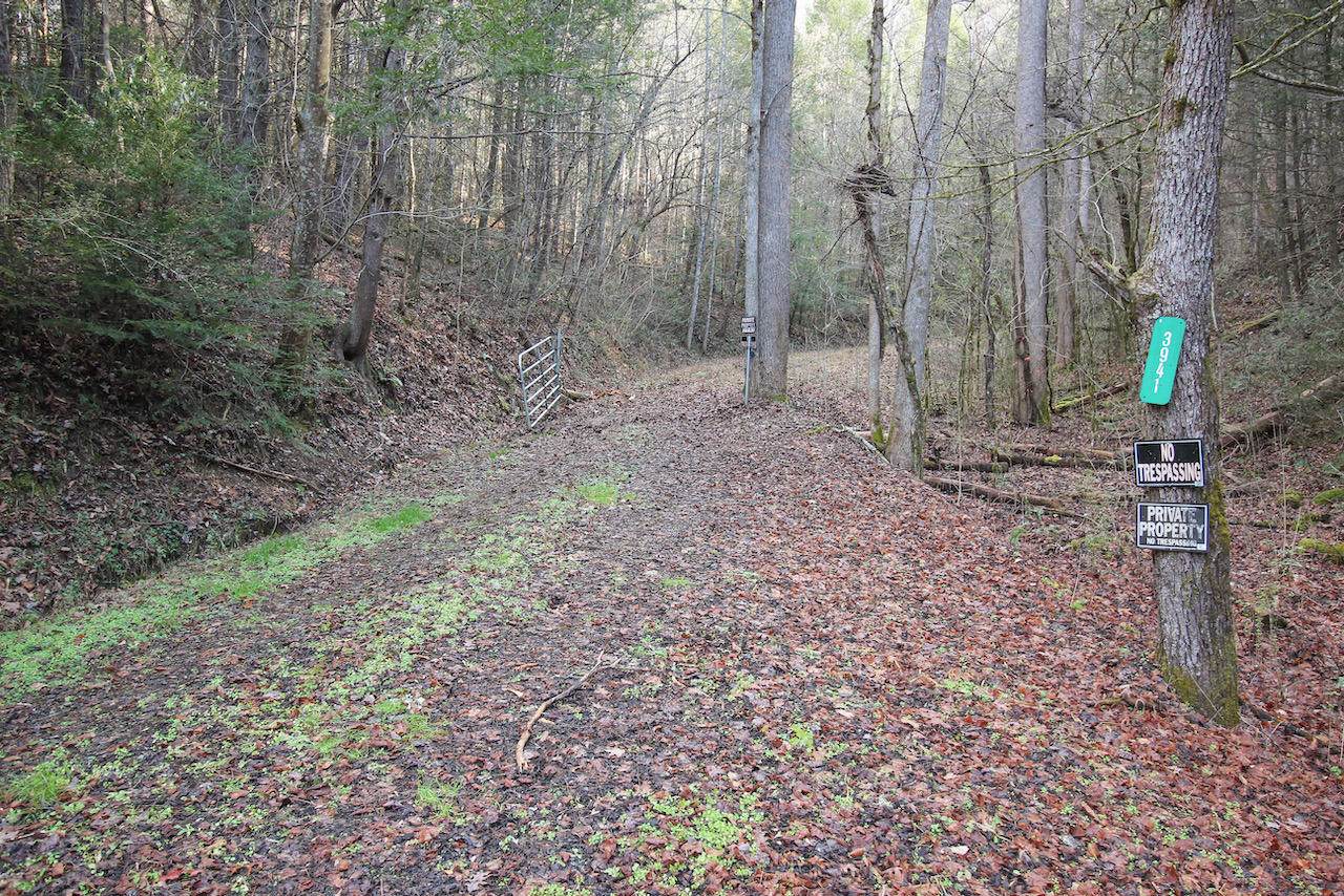 3941 Boogertown Rd - Photo 1