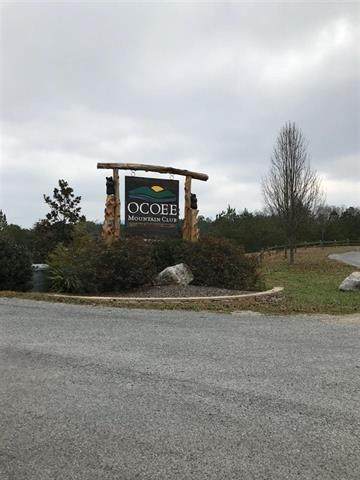 222 & 223 Timber Ridge Circle - Photo 1
