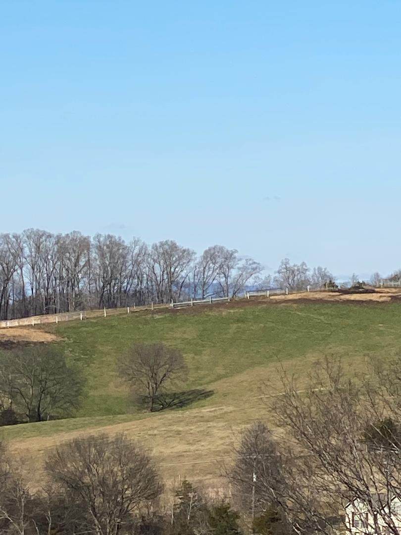 Rays Gap Rd - Photo 1