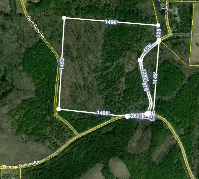 Thomas Springs Rd - Photo 1