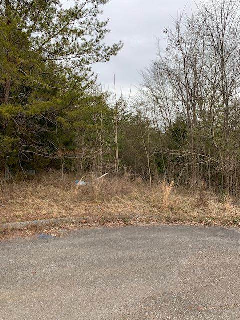 Kenneth Overlook - Photo 1