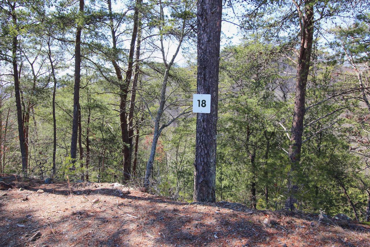 Lot 18 Mountain Ash Way - Photo 1