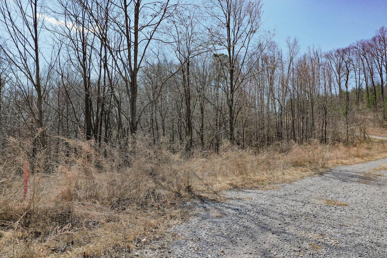 Lot 157 Summit Trails - Photo 1