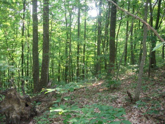 Lot 18 Cumberland Cove Rd - Photo 1