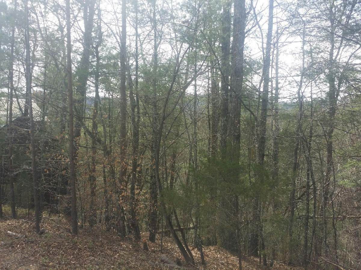 Tolliver Trail - Photo 1