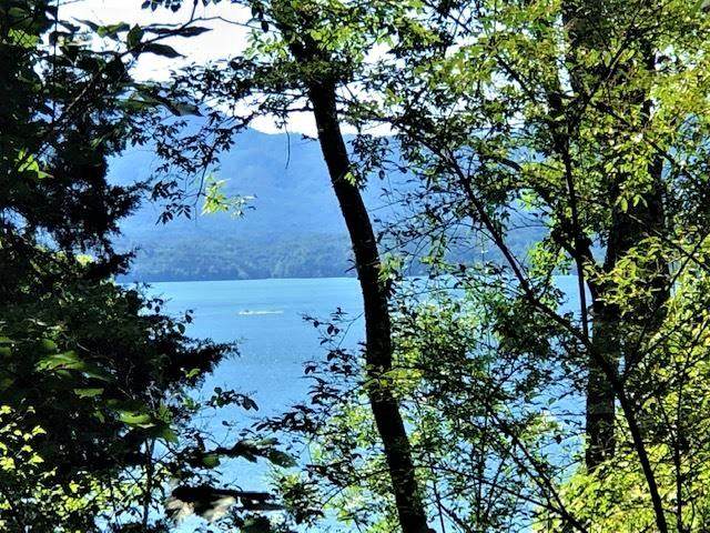 Trotline Rd. - Photo 1