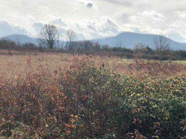 Newport Hwy - Photo 1