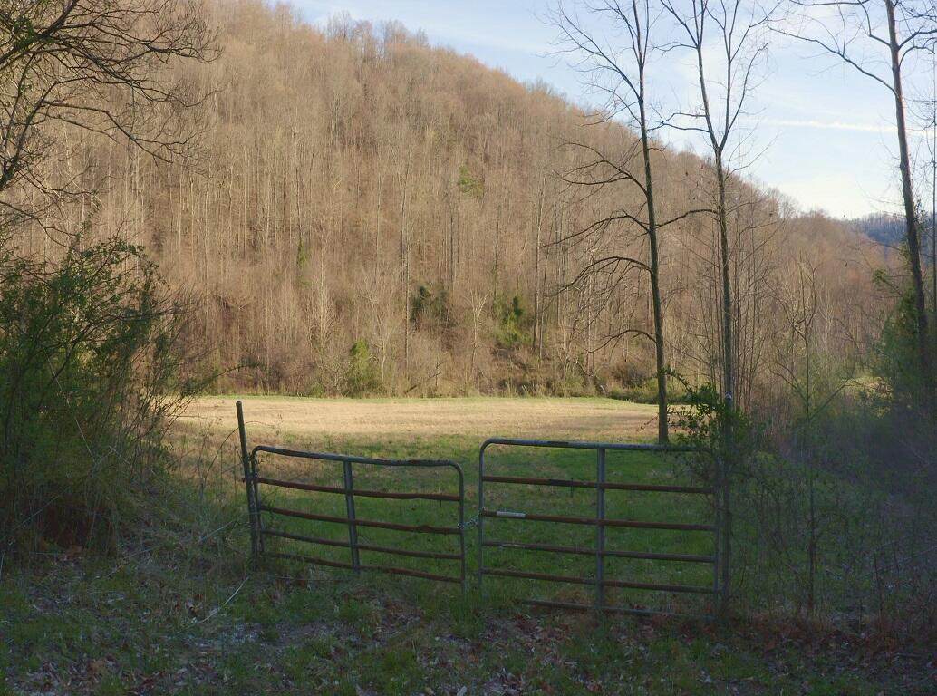 216 Lower Capuchin Drive - Photo 1