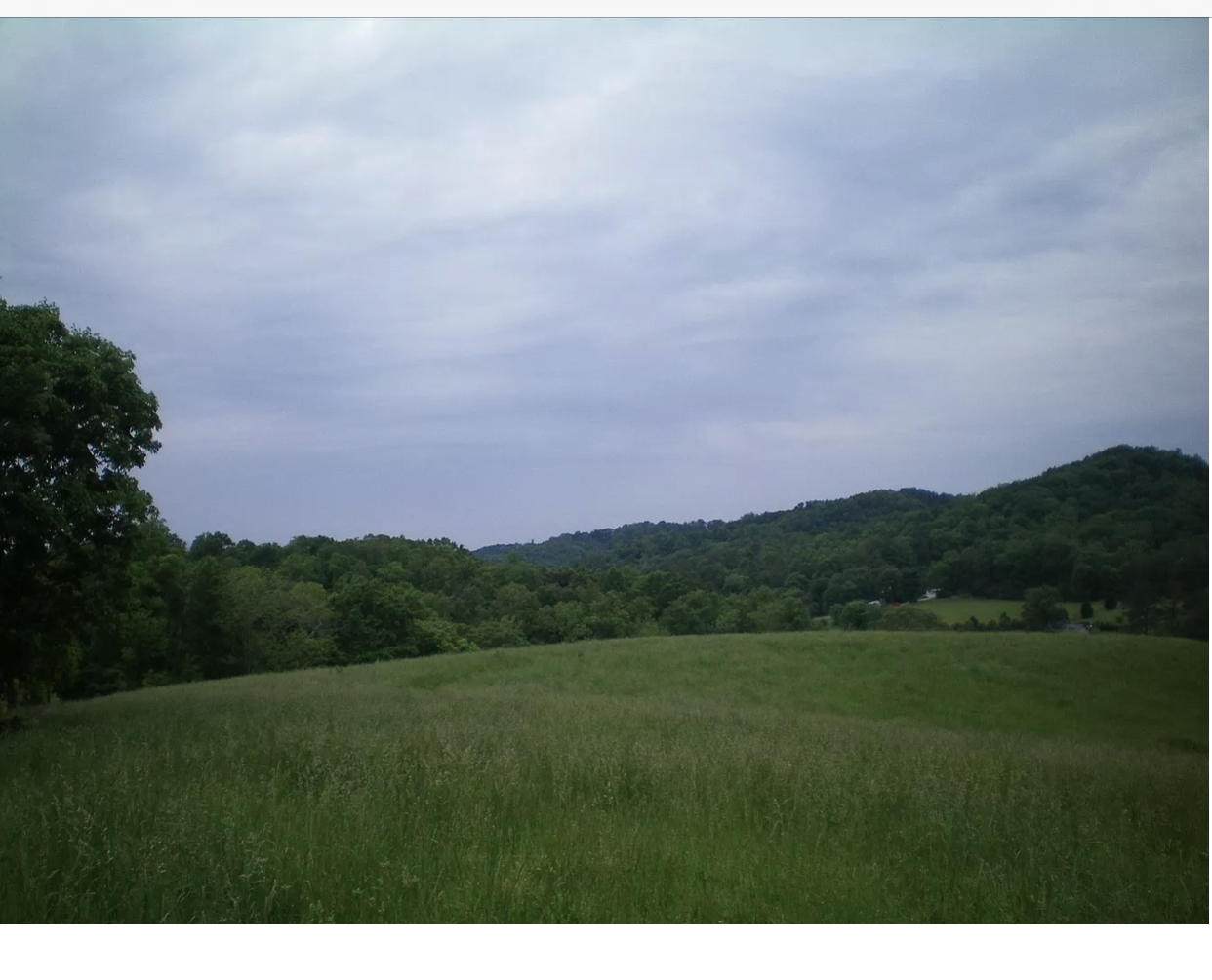 1935 Ballplay Rd - Photo 1