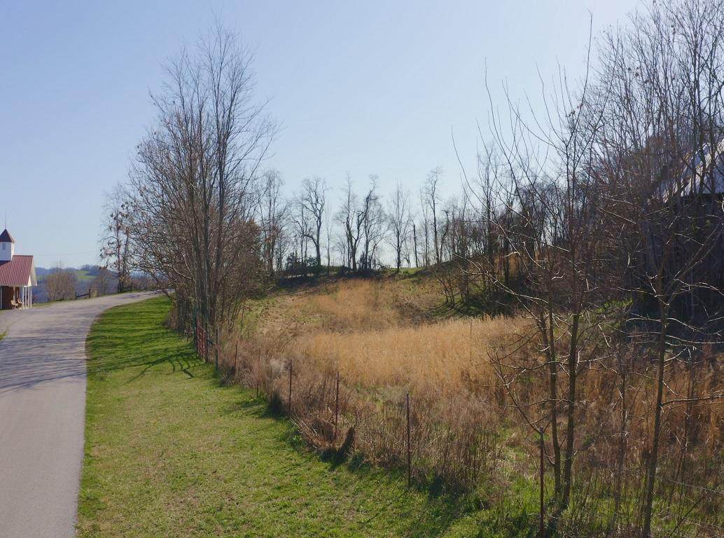 165 Acres Poplar Grove Rd - Photo 1