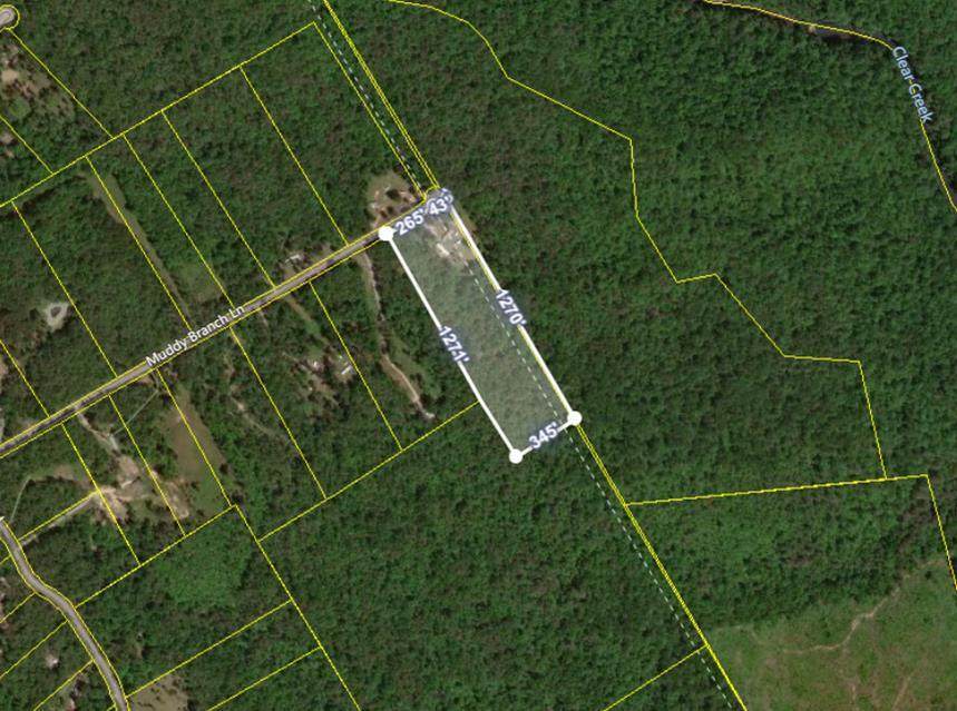 494 Muddy Branch Ln - Photo 1