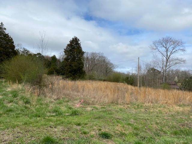 Lot 4 County Road 170 - Photo 1