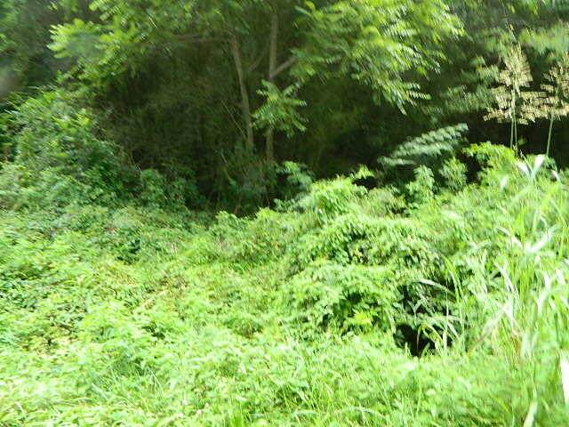 Happy Hollow Rd - Photo 1