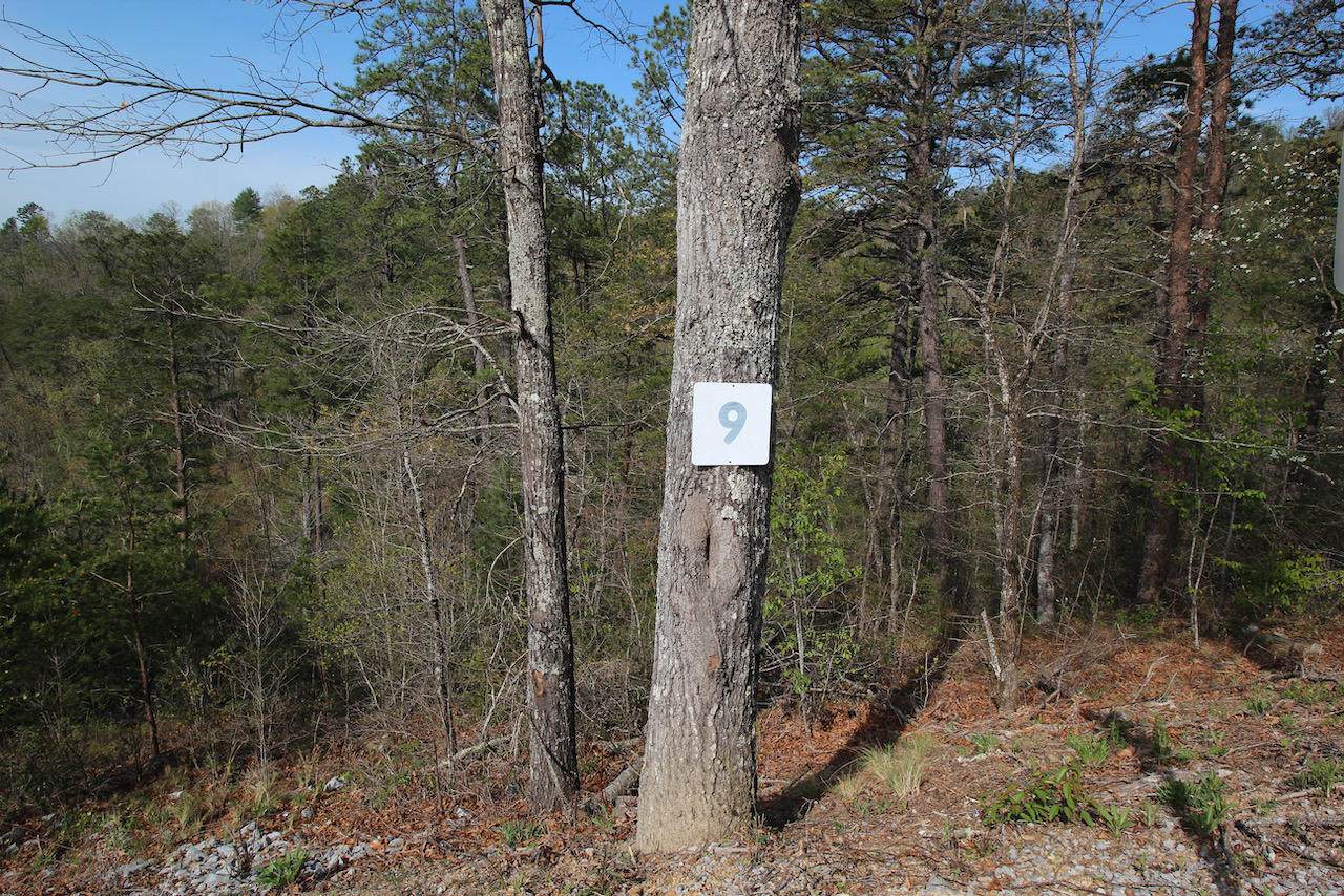 Lot 9 Summit Trails Dr. - Photo 1