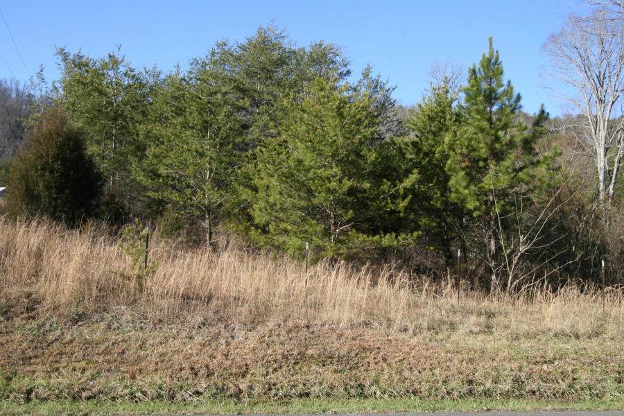 Galyon Rd - Photo 1