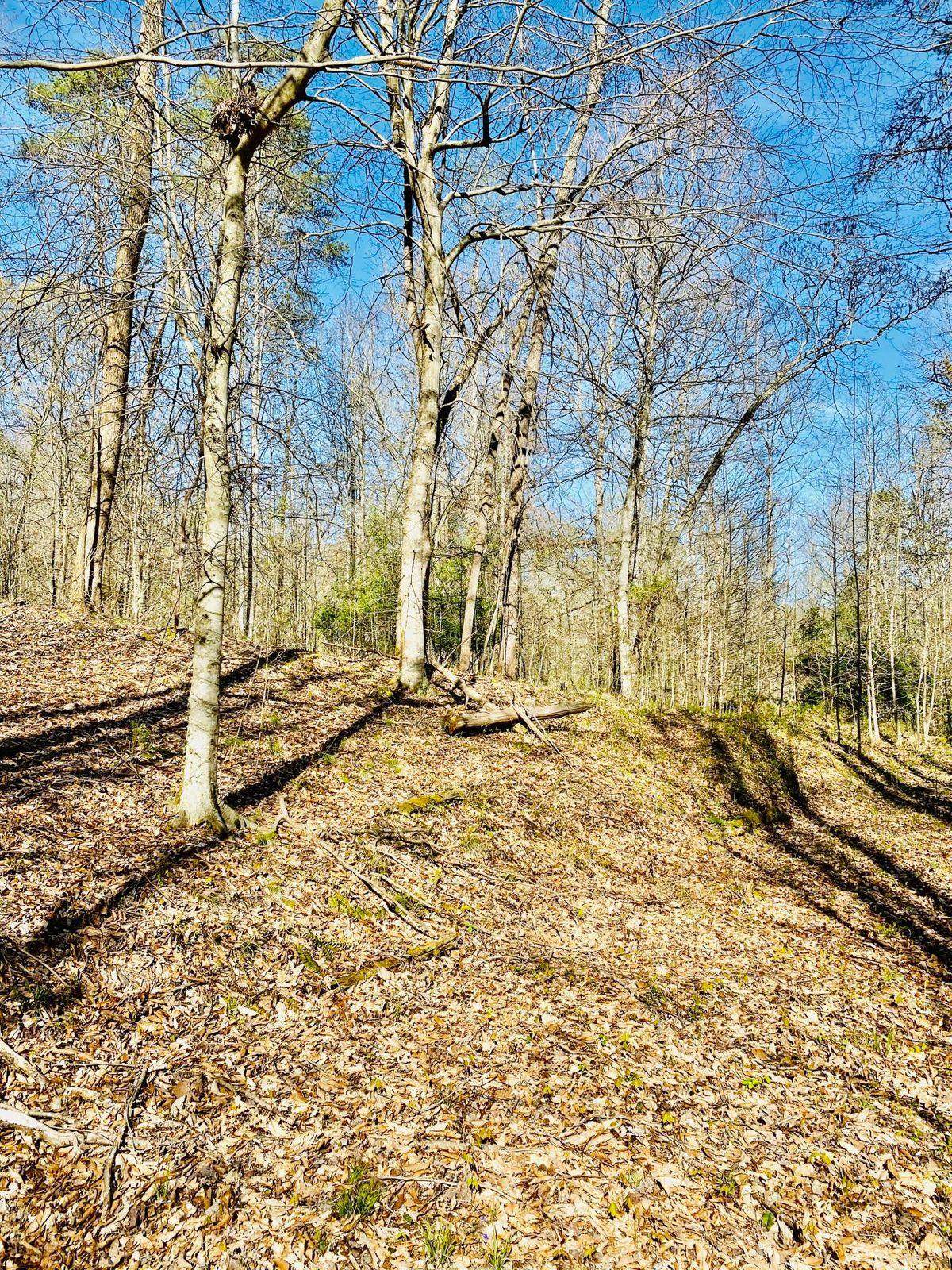 Laurel Wood Rd - Photo 1