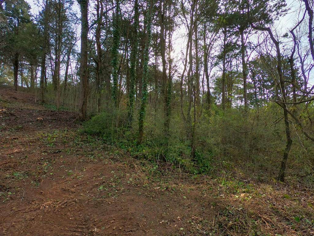 216 Coyatee View - Photo 1