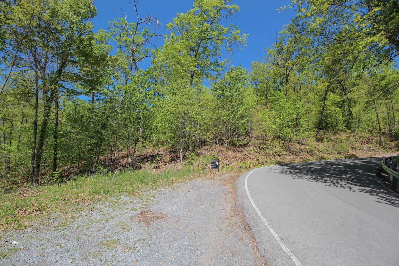 Lot 128 Bluff Mountain Rd. - Photo 1