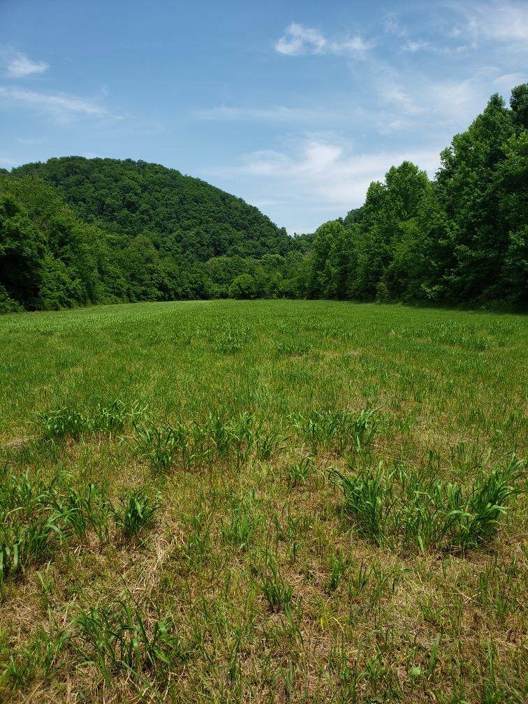 8.76 acres Highway 39 E - Photo 1