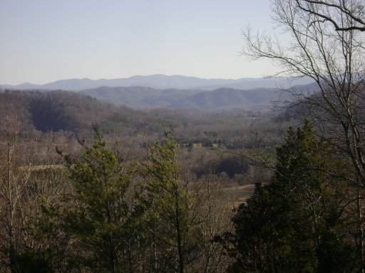Tellico Camp Rd - Photo 1