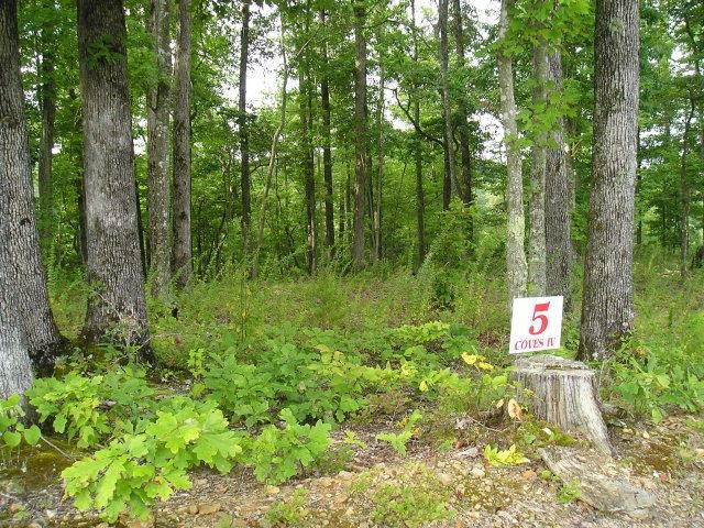 Lot 5 Coves Point Rd - Photo 1
