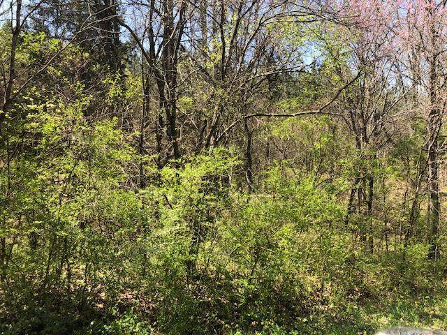 Sam Davis Rd - Photo 1