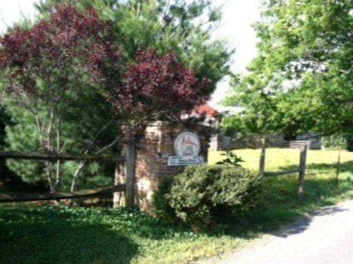 Lot 19 Autumn Woods - Photo 1