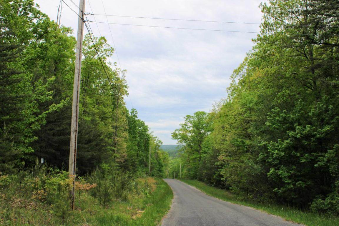 Lot 21 Gray Creek Road - Photo 1